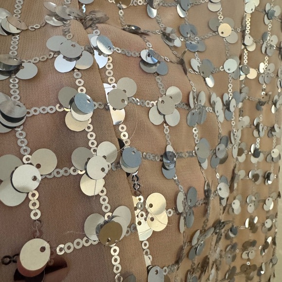Zara Silver Sequin Beige Square Neck Mini Dress- Small - Picture 7 of 16